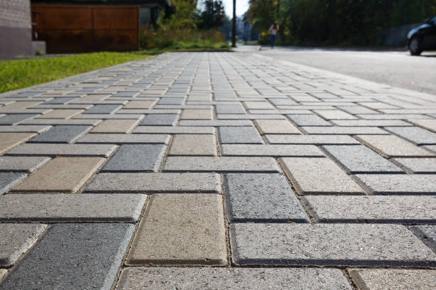 Best Driveway Paving Near Me  in Woodruff, SC